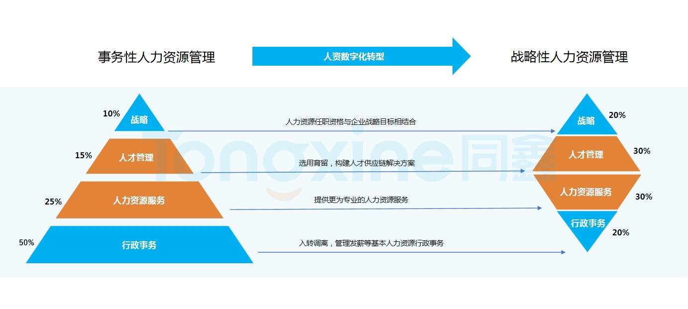 1718960994415687.jpg 1718960994415687.jpg